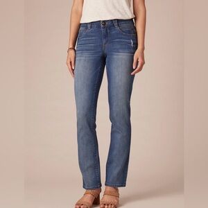 Democracy Stretch Denim "Ab"solution® Straight Leg Petite Jeans